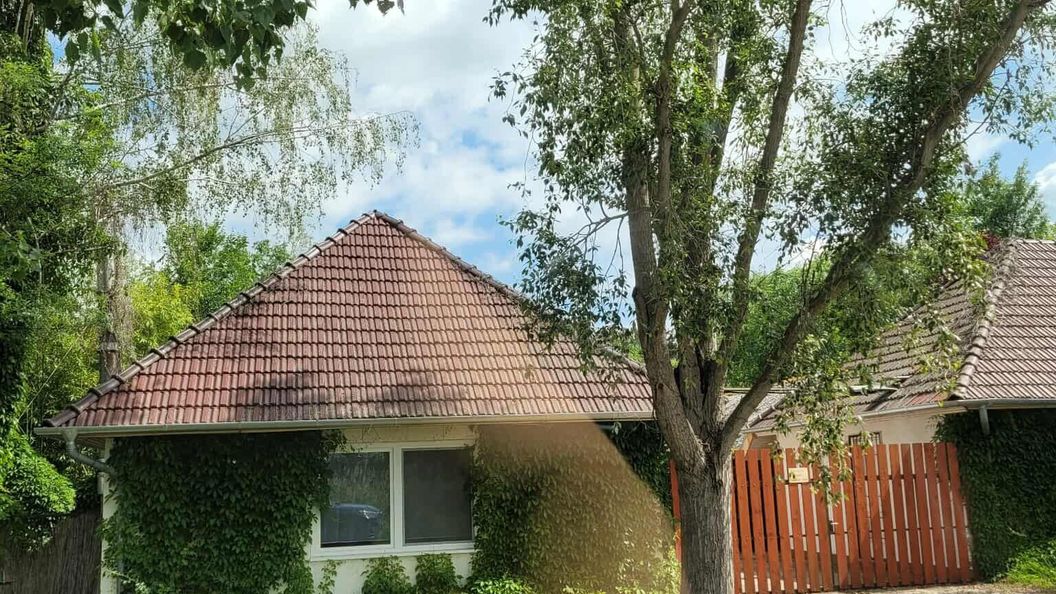 Vadász Liget Pihenő Szatymaz (1)