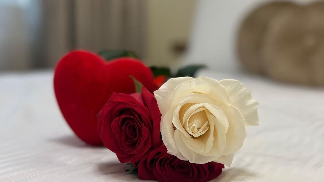 VLH Apartments Constanța (1)