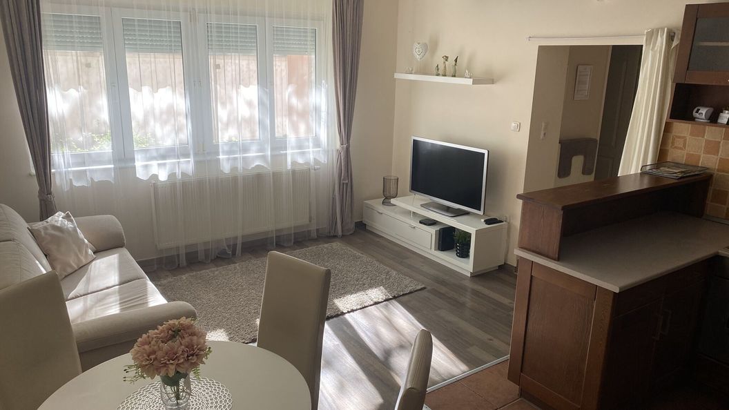 Vio Art Apartman Székesfehérvár (1)