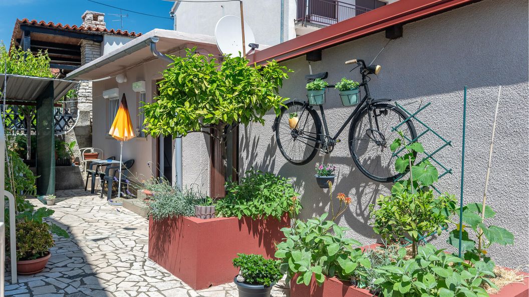 Apartman Pula - CIR766 (1)