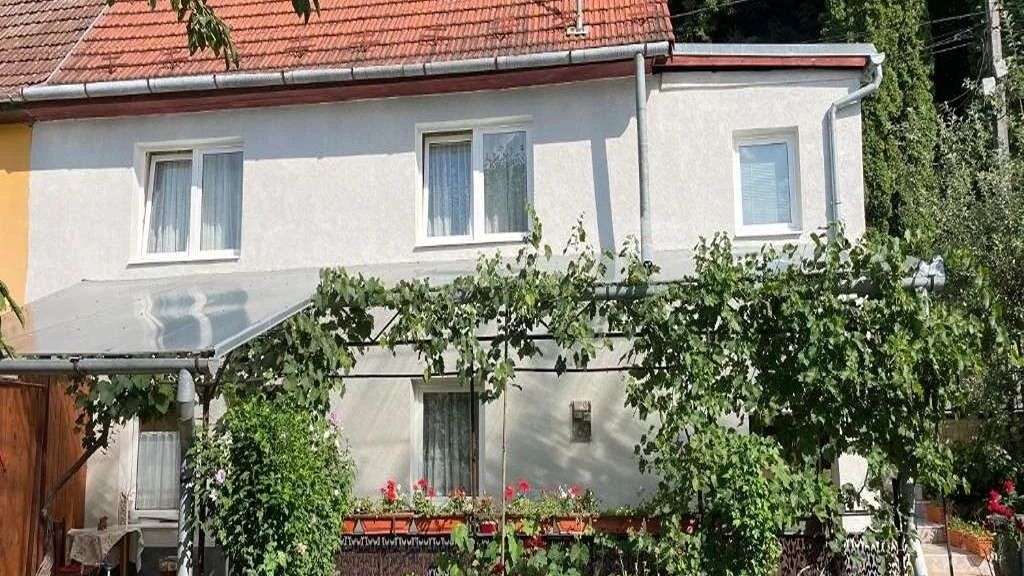 Casa Gheți Sighișoara (1)