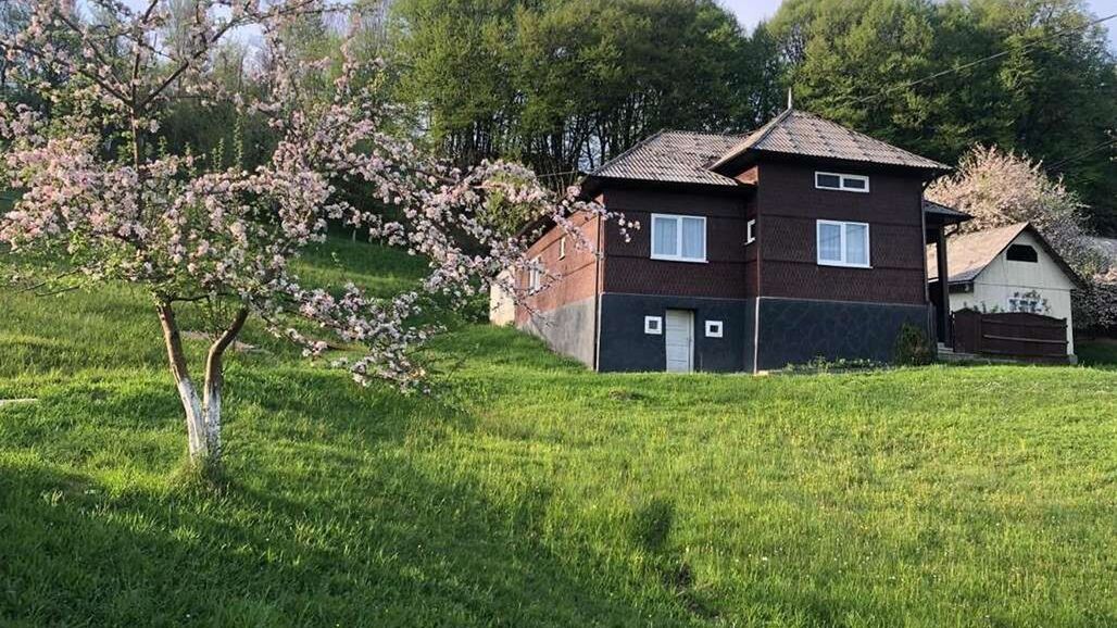 Cabana Hatere Moisei (1)