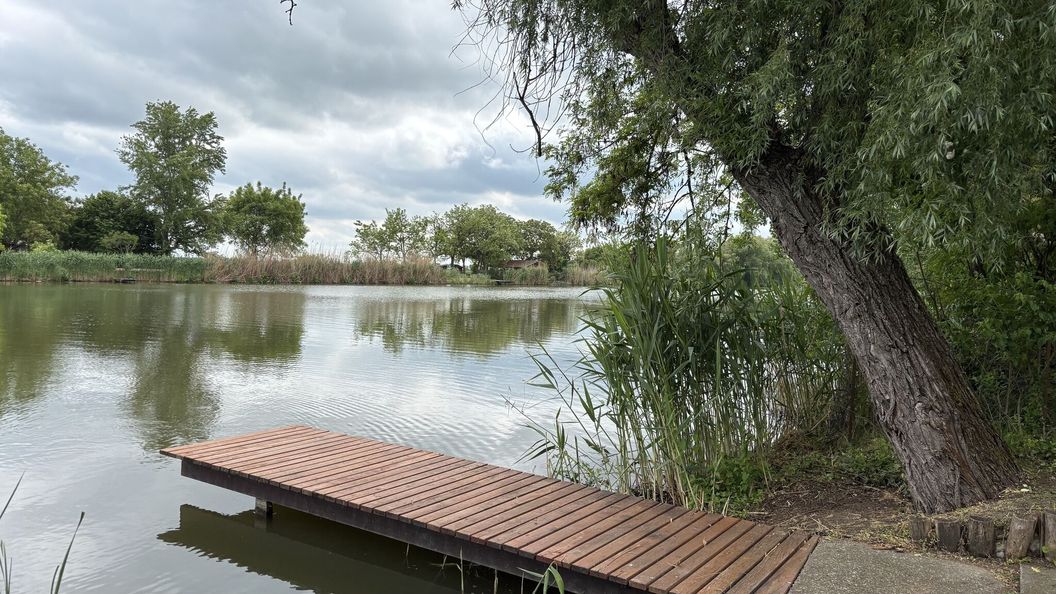 Csoki Vendégház Békésszentandrás (1)