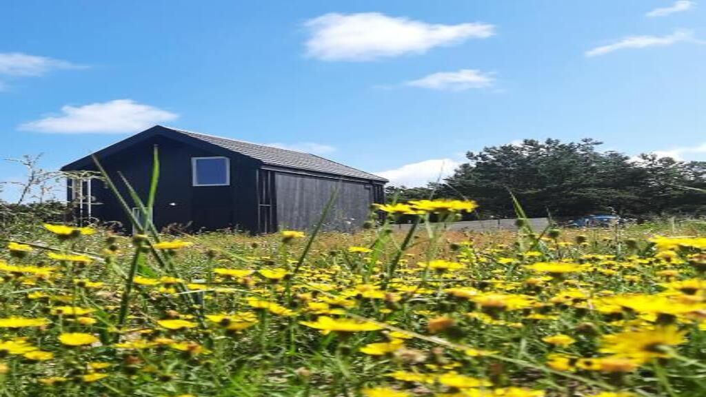 Dom na łące Jantar (1)