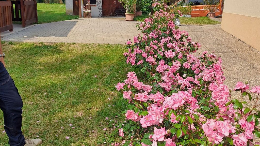 Fényesfelde Apartman Lendvajakabfa (1)