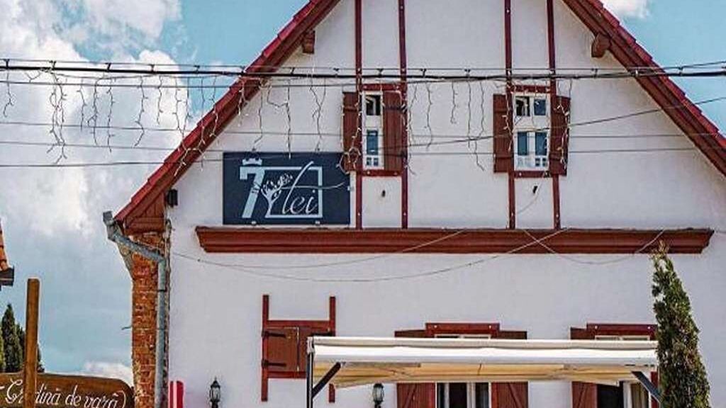 Pensiunea 7 Tei Cisnădioara (1)