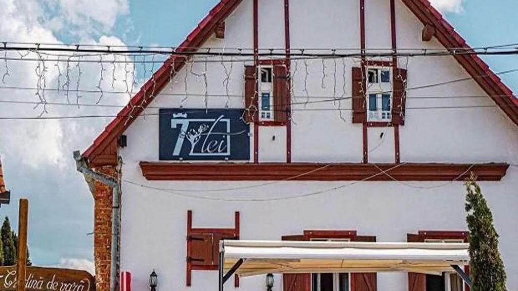 Pensiunea 7 Tei Cisnădioara (1)