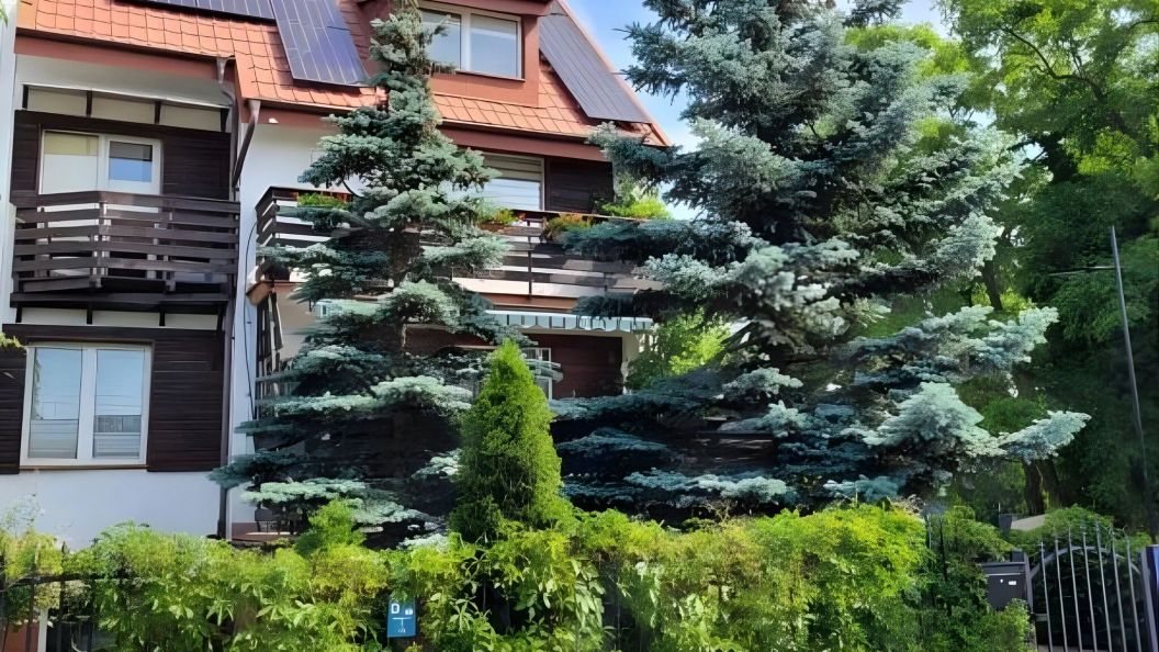 U Adusia Pokoje Gościnne Gdańsk (1)