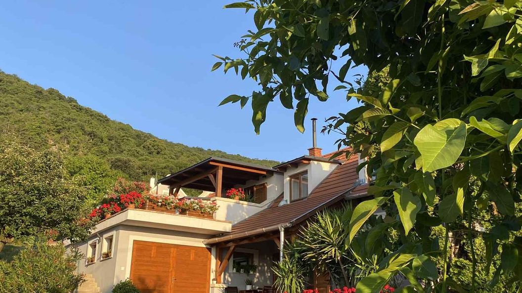 Sárkányhegyi Apartman Balatonederics (1)