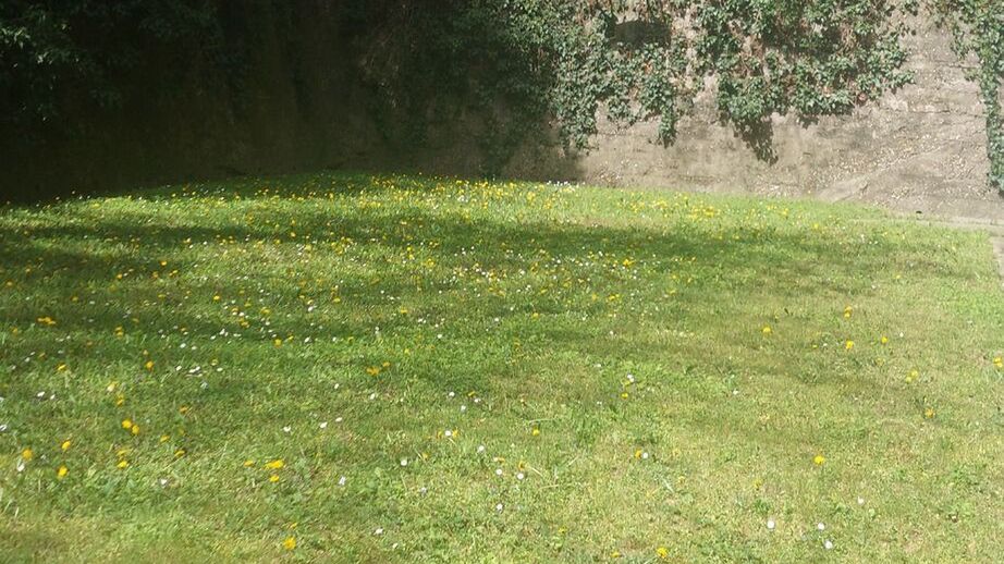 Benett Kuckó Apartman Balatonboglár (1)