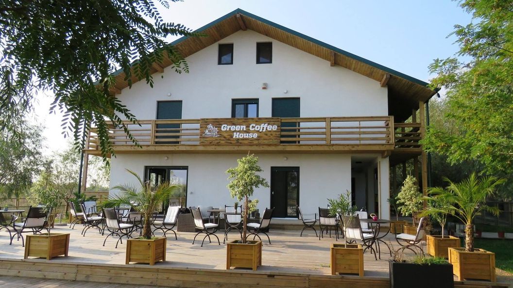 Green Coffee House Tulcea (1)