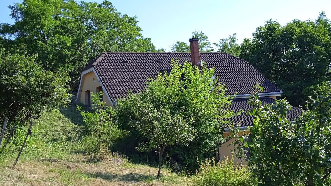 Hegyi Tücsök Vendégház Badacsonytördemic (1)