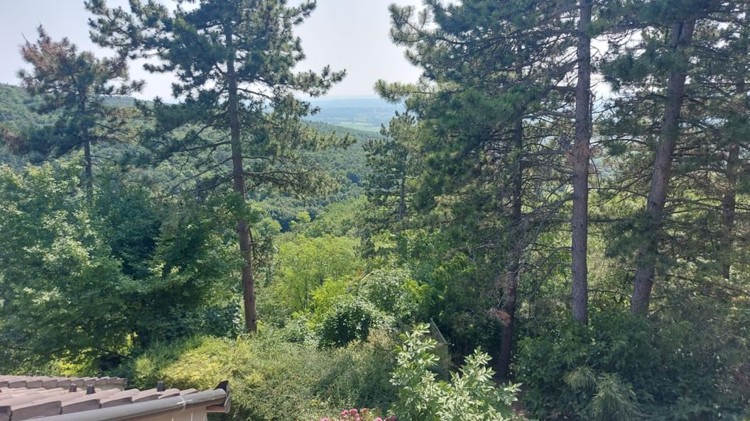 Elisa Rezi-Dencia Apartman Rezi (1)