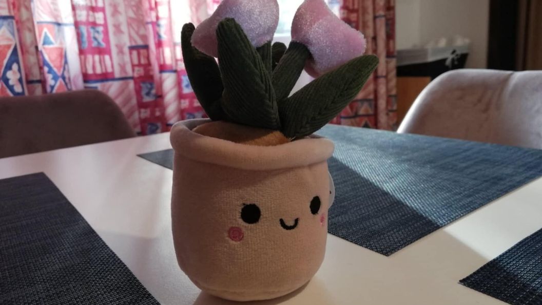 Gemenc-Lak Vendégház Baja (1)