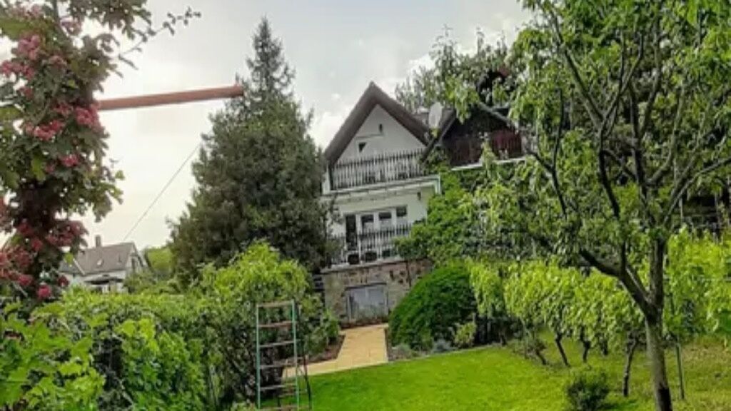 Dávid Nyaraló Ábrahámhegy (1)