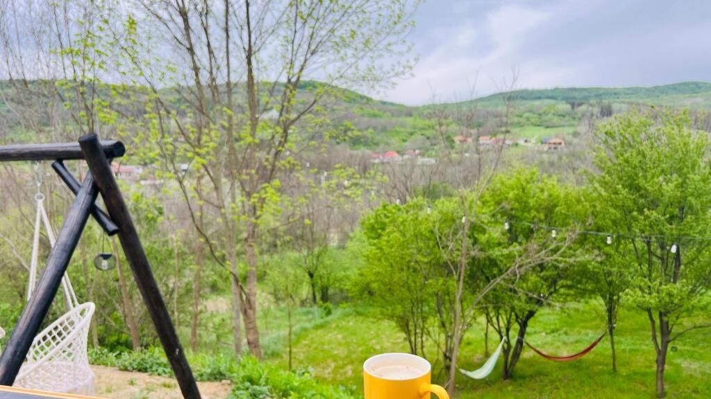 Căsuța cu Narghilea Joseni (1)