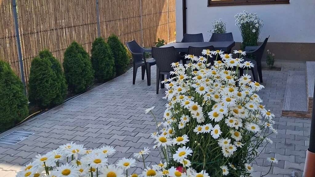 Casa Iulian Mahmudia (1)