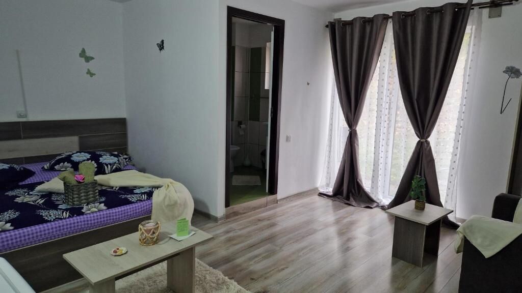 Pensiunea Glasul Pădurii Moieciu de Jos (1)