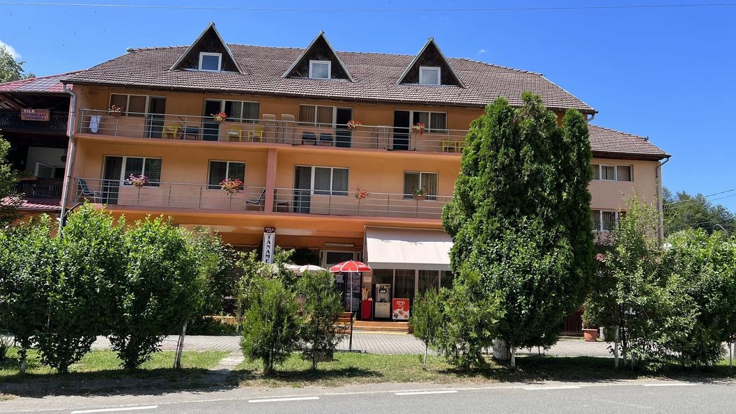 Vila Tanamera Moneasa (1)