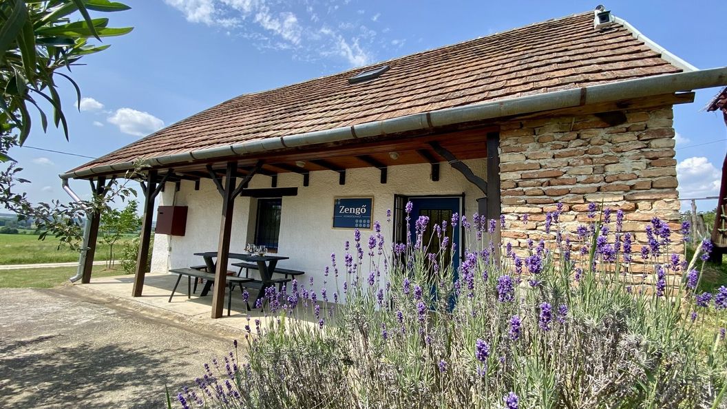 Zengő Vendégház Borgáta (1)