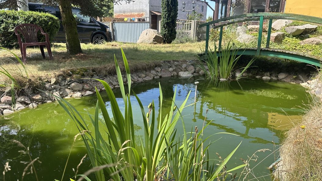 Noclegi Bartodzieje 56 (1)