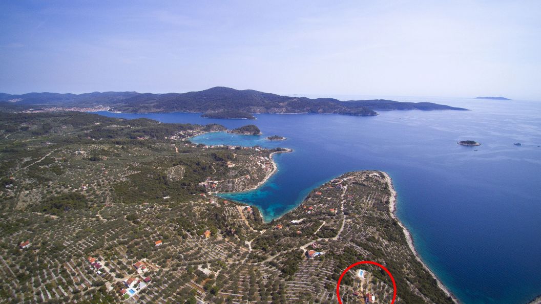House villa Korcula Vela Luka (1)
