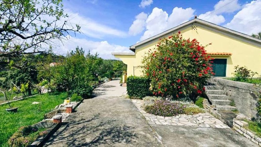 House Solis Palit (1)