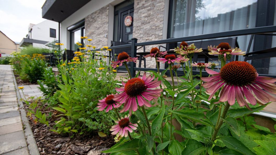 Négy Évszak Apartmanház Gyula (1)