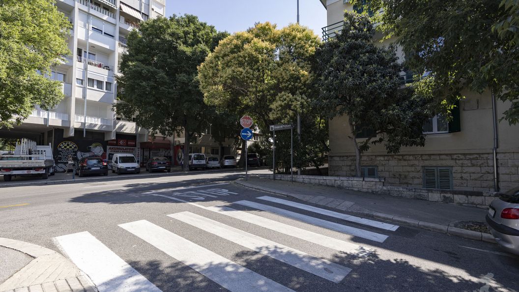 Apartment Nettle Tree Split (1)