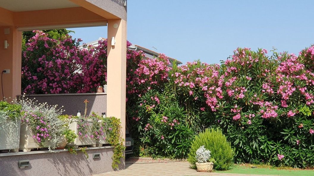 Apartmanok Parkolóhellyel Tribunj, Vodice - 23680 Tribunj (1)