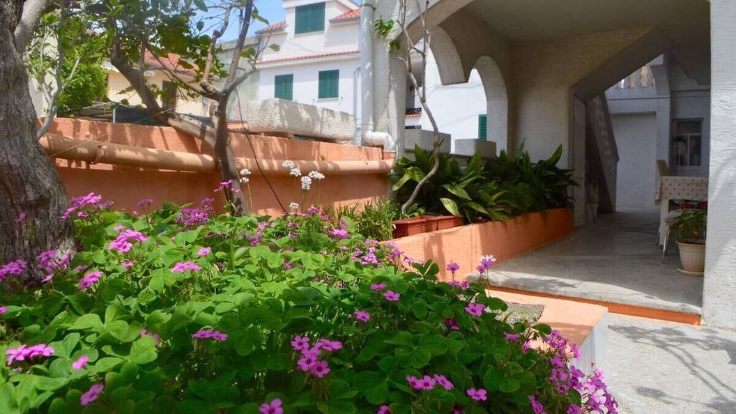 Apartmanok A Tenger Mellett Lukoran, Ugljan - 23830 Lukoran (1)