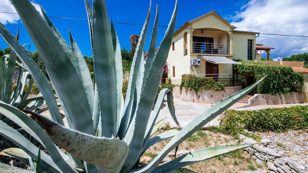 Apartmanok Parkolóhellyel Sali, Dugi Otok - 24032 Sali (1)