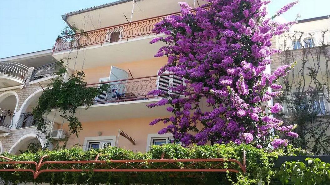 Apartmanok Parkolóhellyel Makarska - 24071 (1)