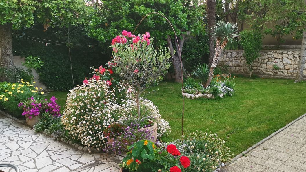 Apartmanok Parkolóhellyel Lopar, Rab - 24156 Lopar (1)