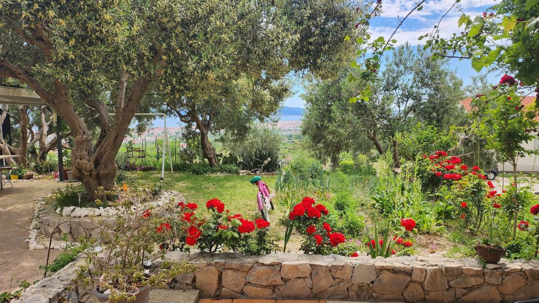 Apartmanok Parkolóhellyel Kastel Stari, Kastela - 24406 Kaštel Stari (1)