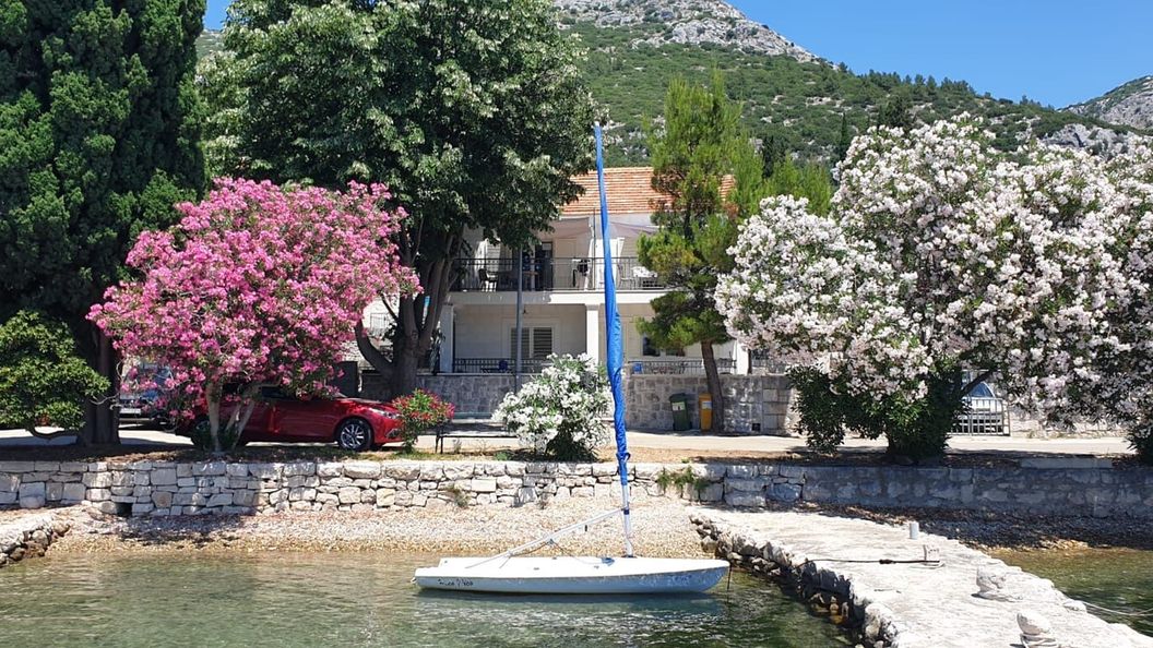 Apartmanok A Tenger Mellett Viganj, Peljesac - 24522 Viganj (1)