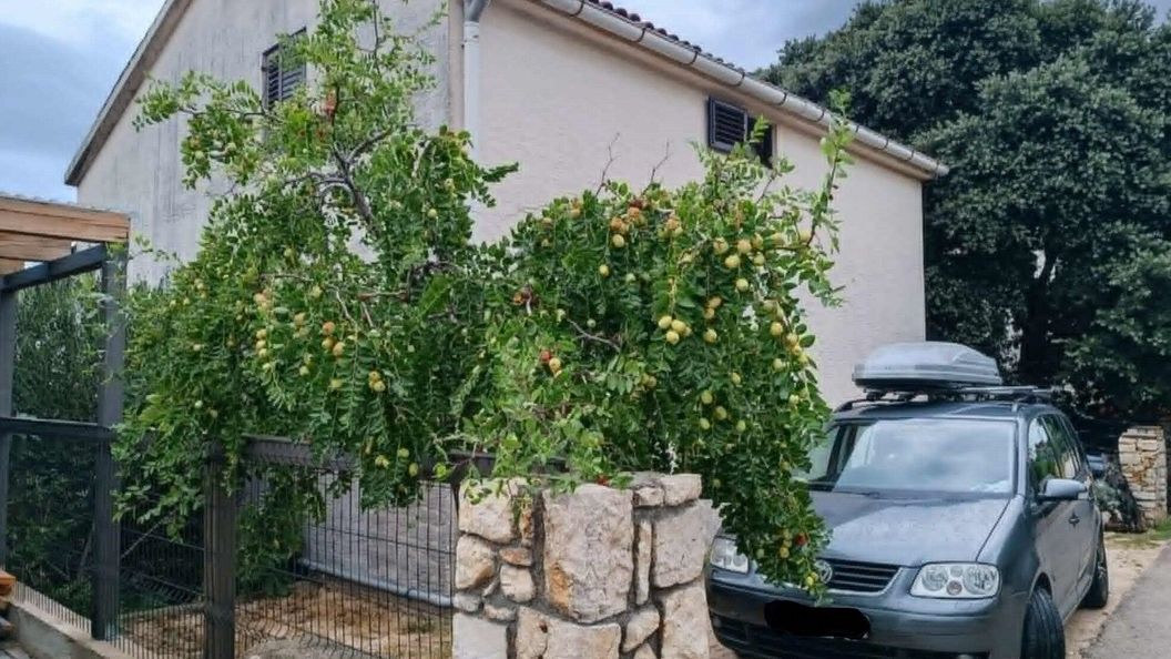 Apartmanok Parkolóhellyel Mandre, Pag - 24574 Mandre (1)