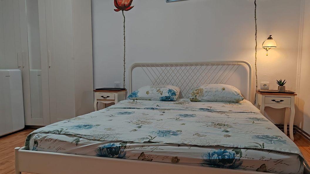 Casa Mihaela (Steflea) Sfântu Gheorghe (1)