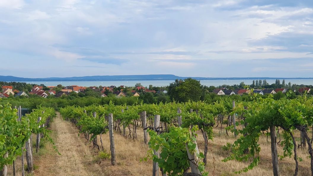 Villakali Balatonakali (1)