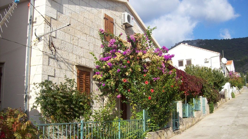 Apartments Dina Komiza (1)