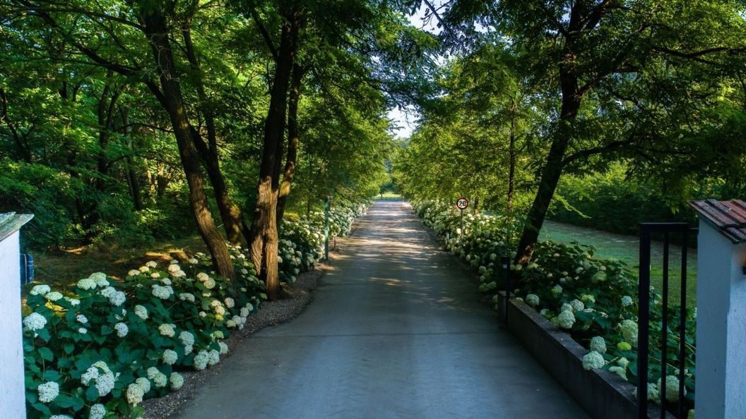 Csipkerózsa Üdülőházak Csólyospálos (1)