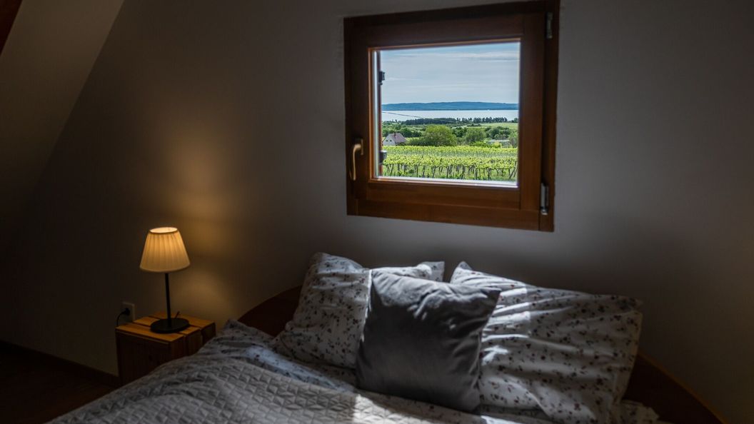 Tagyon Birtok Kései Szüret Apartmanház Tagyonhegy (1)