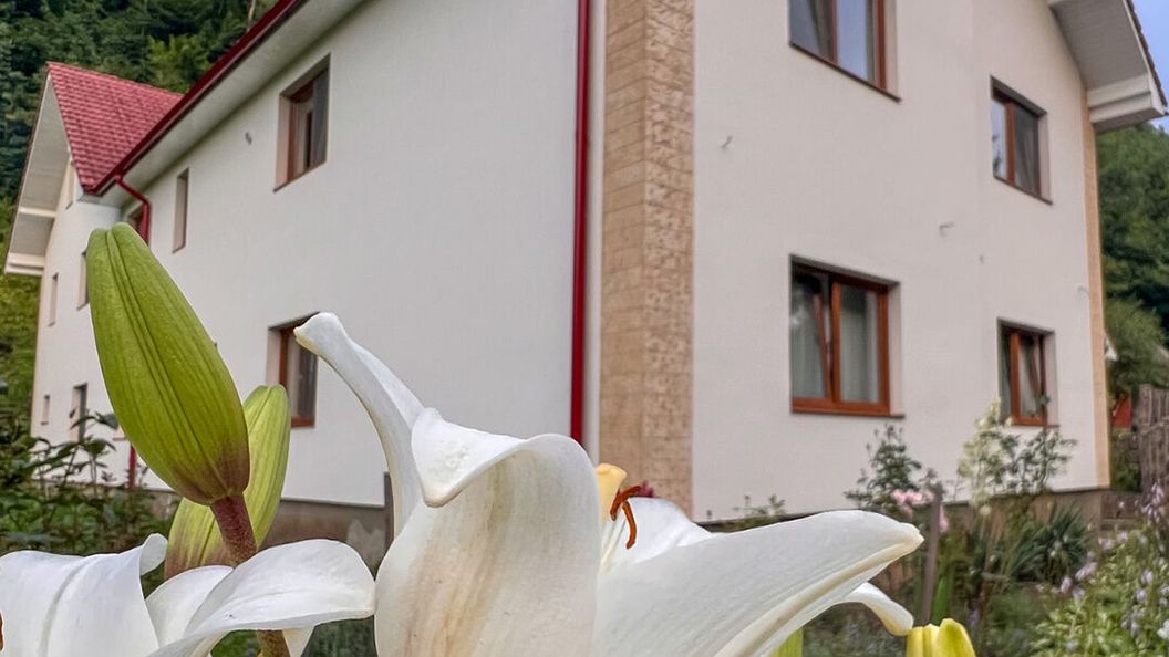 Golden Forest Retreat Iod (1)