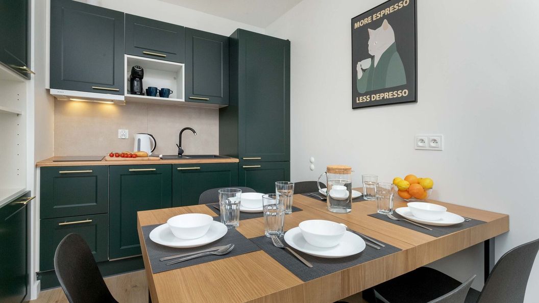 Apartament Kuracyjna 15A | Duży Apartament | Parking | Biurko (1)