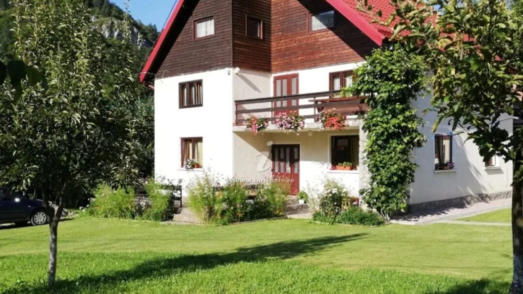 Casa Andre Bran (1)