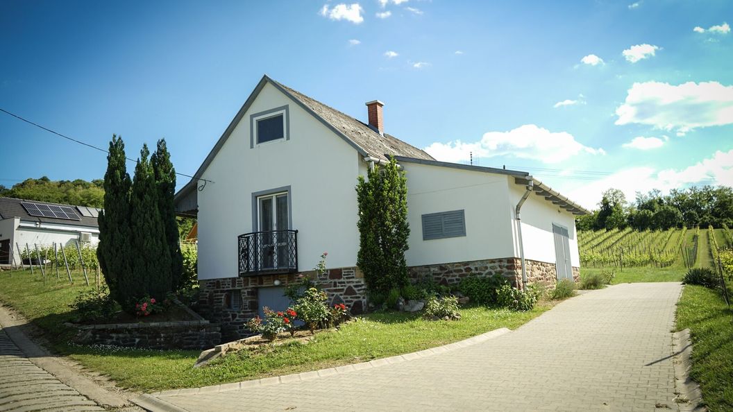 Pinot Gris House Vendégház Káptalantóti (1)