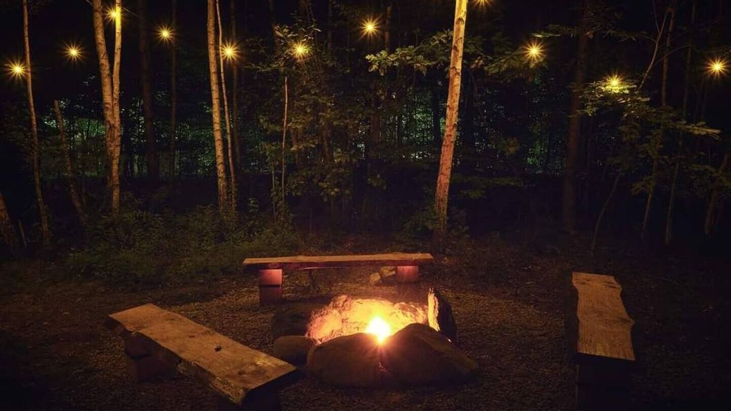 Căsuța cu Brazi Viștișoara (1)