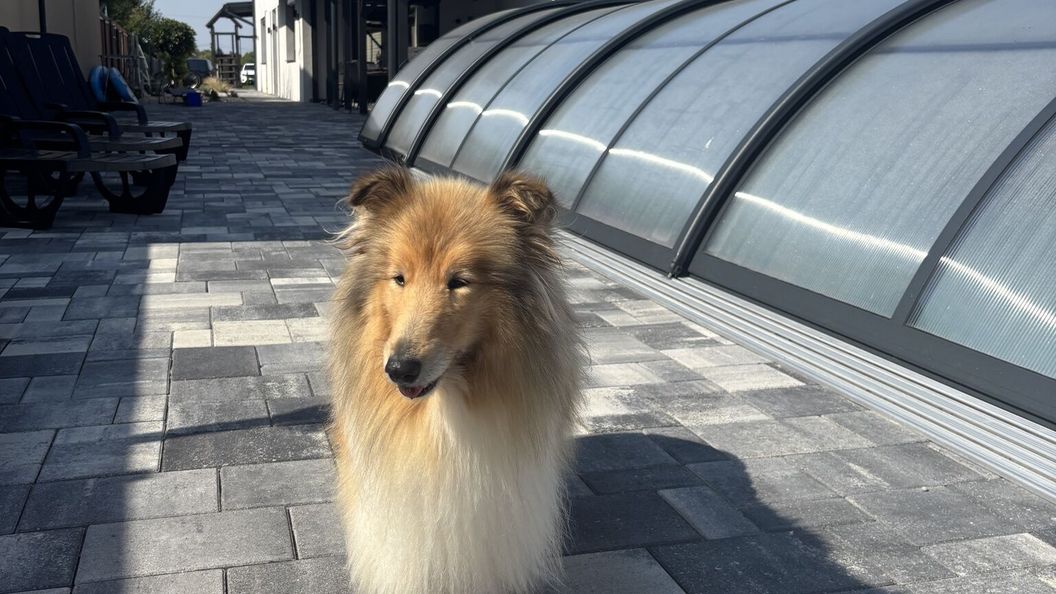 Héliosz Vendégház Békésszentandrás (1)