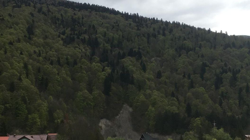 Apartament Splendid View Sinaia (1)