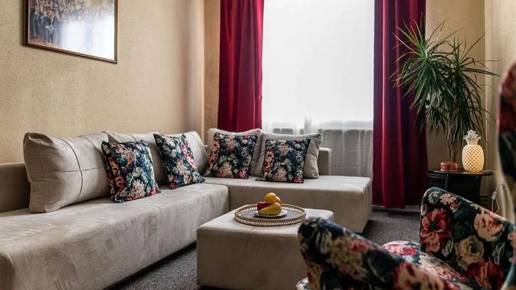 City View Apartment Timișoara (1)